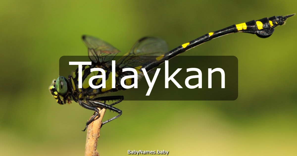 Talaykan