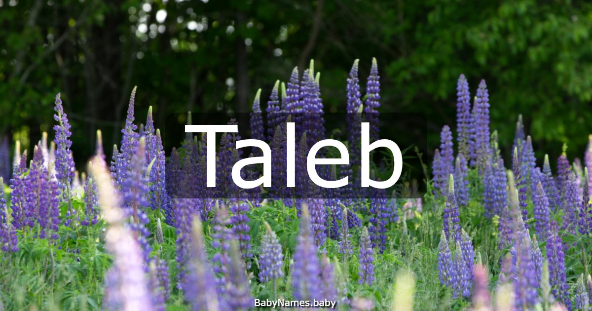 Taleb