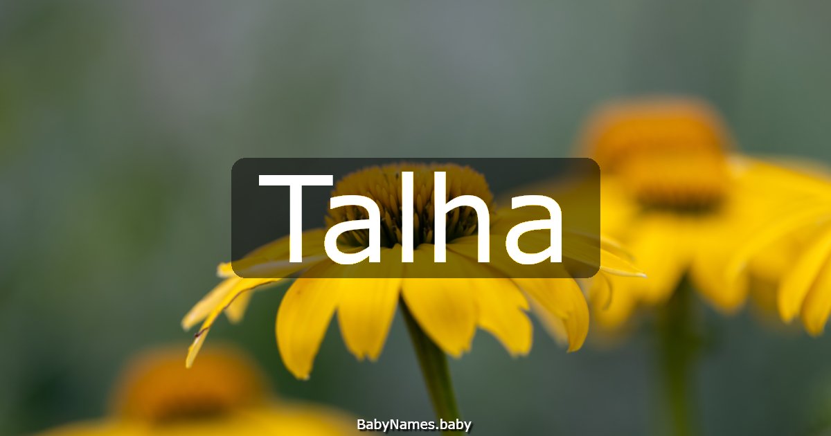Talha