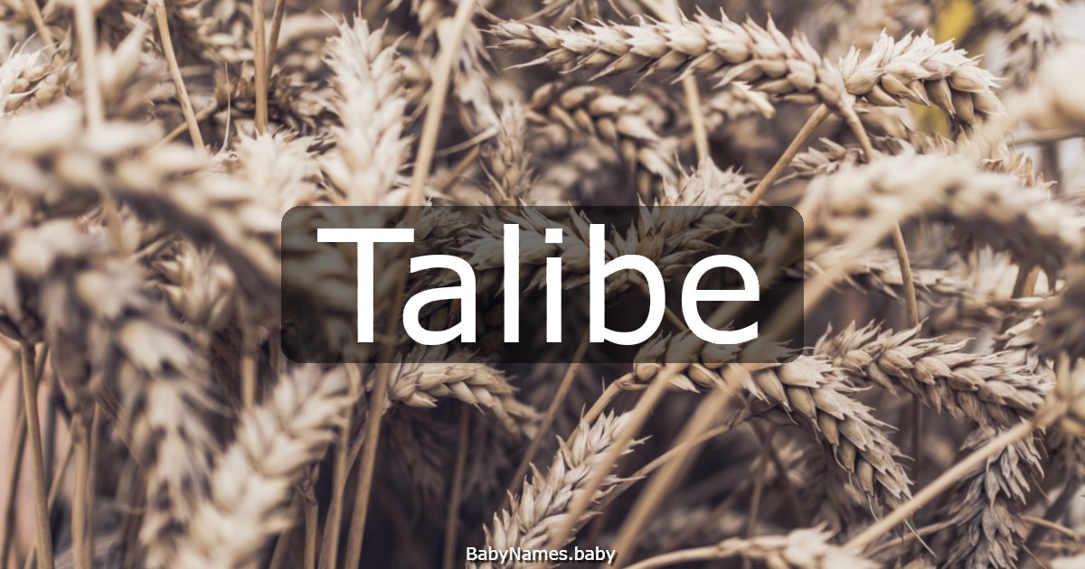 Talibe