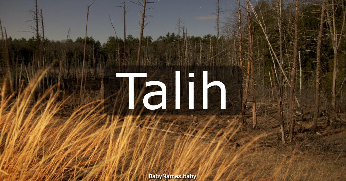 Talih