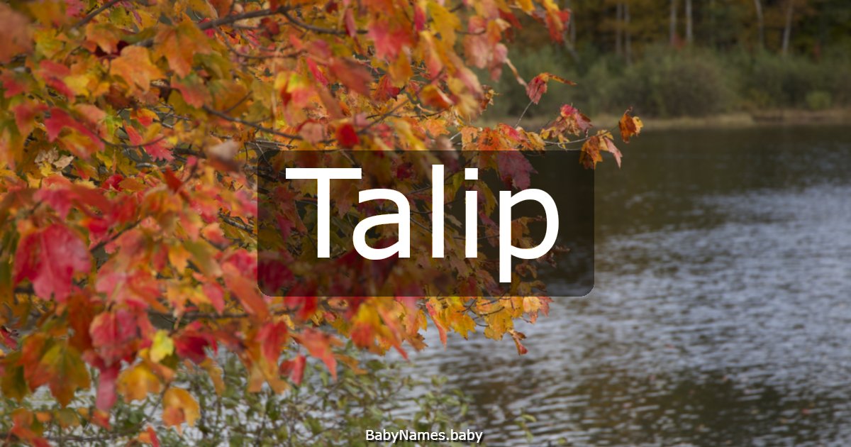 Talip
