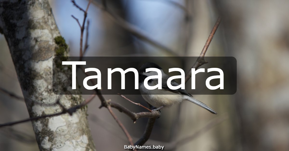 Tamaara
