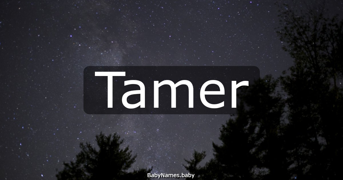 Tamer