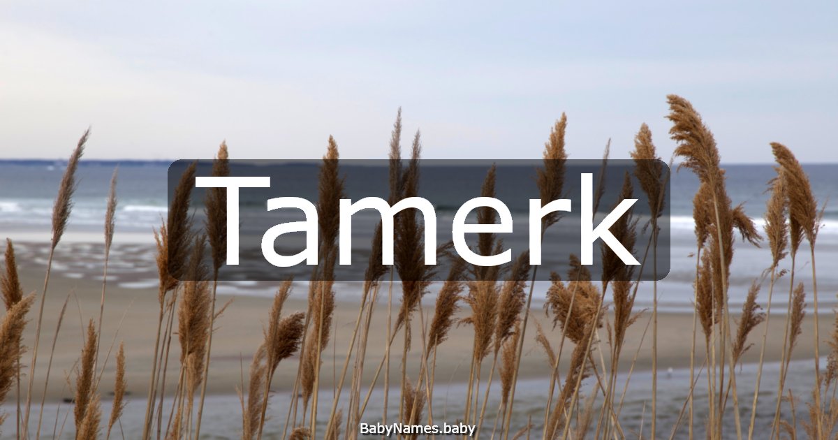 Tamerk