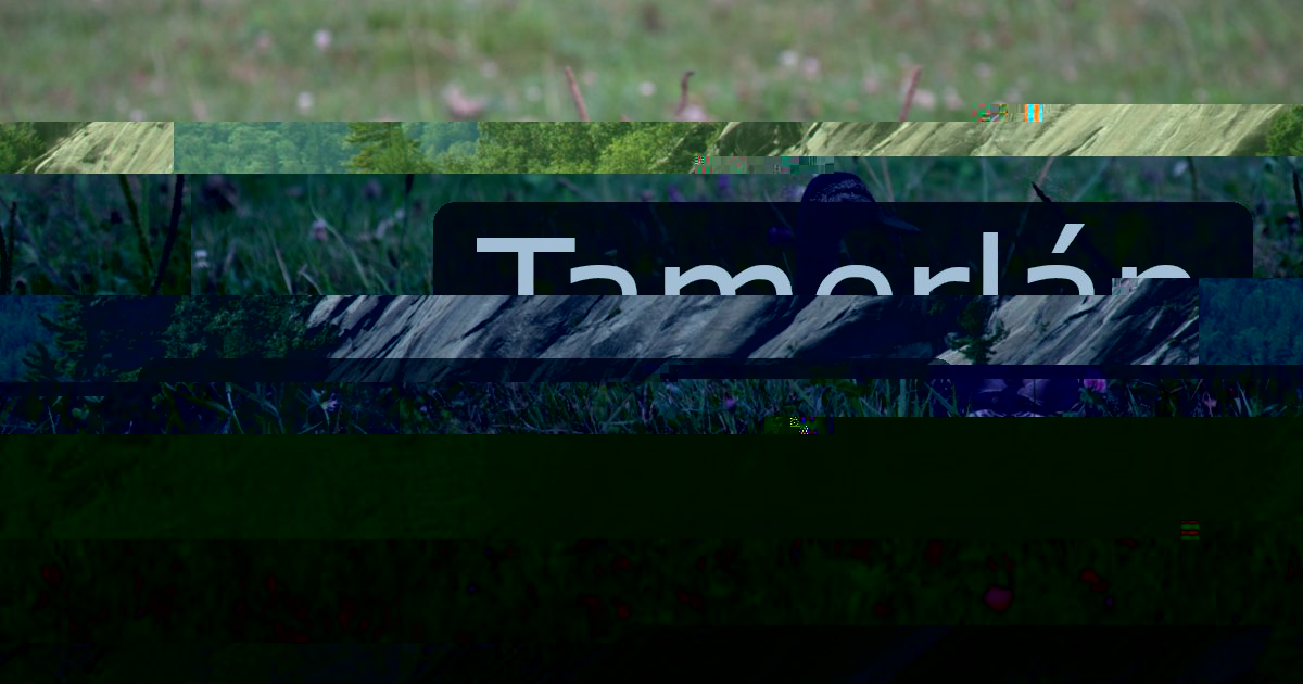 Tamerlán