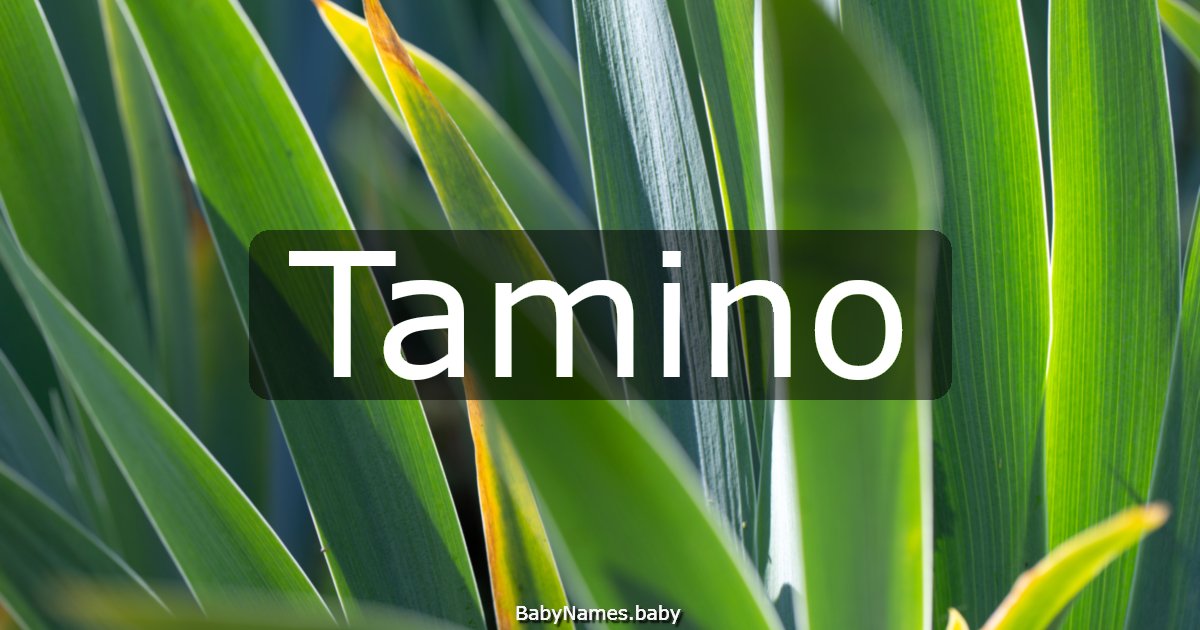 Tamino