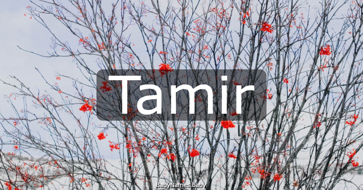 Tamir