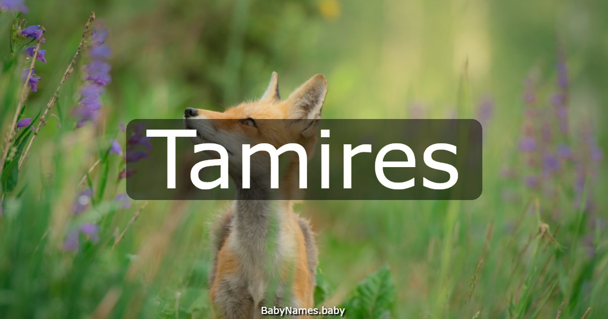 Tamires
