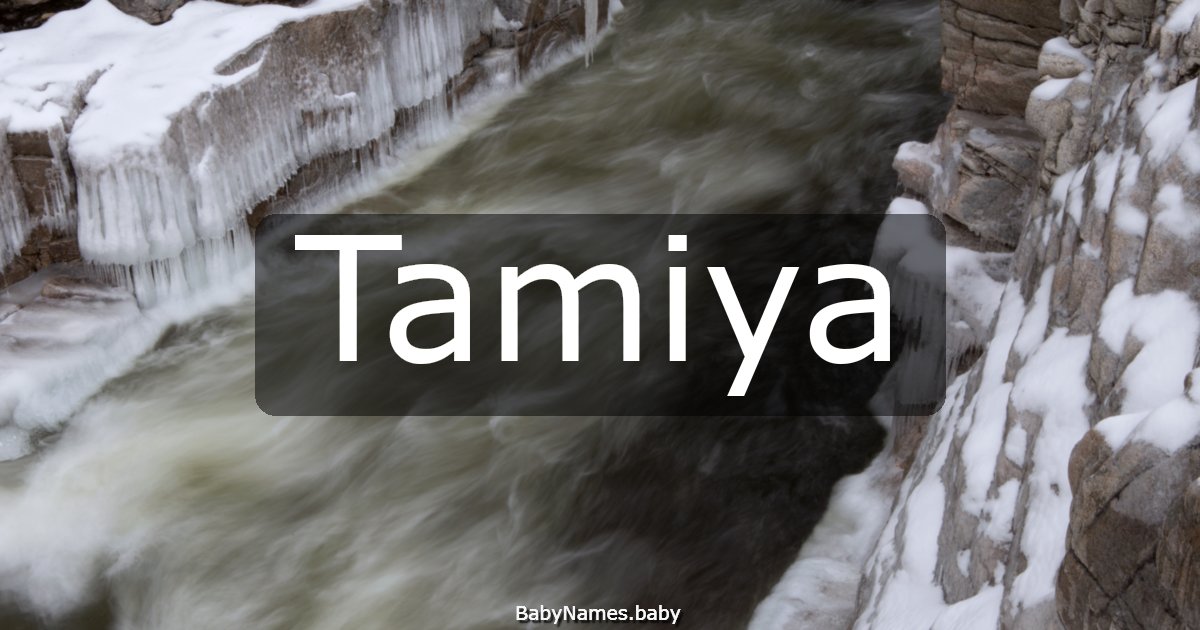 Tamiya