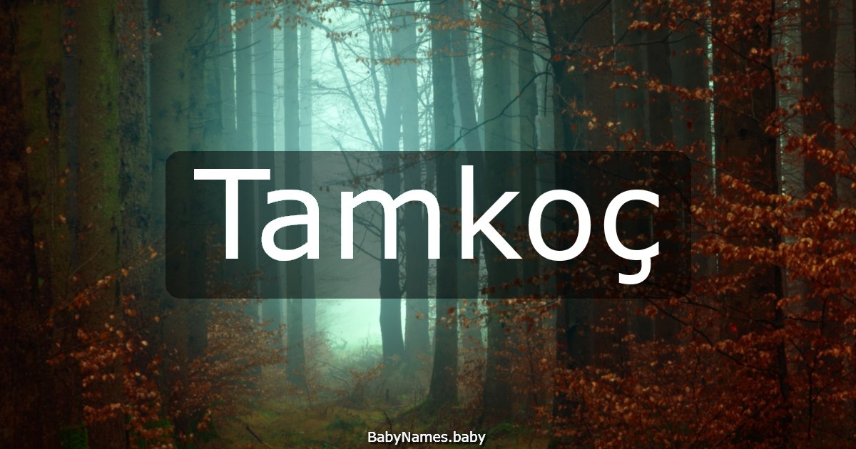 Tamkoç