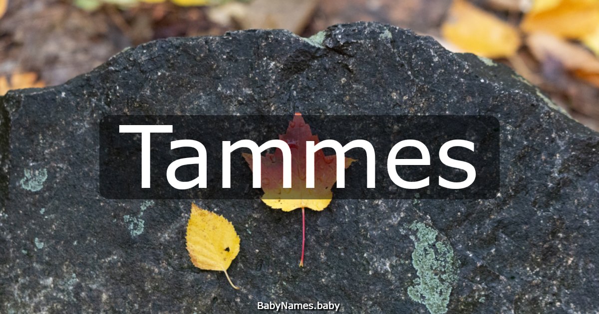 Tammes