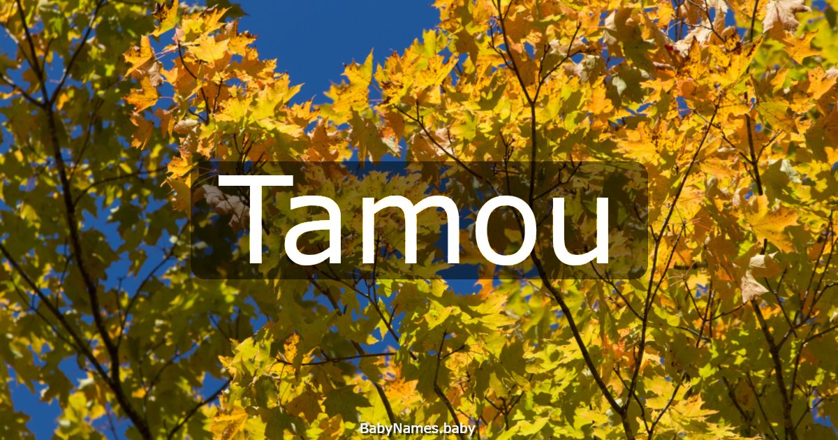 Tamou
