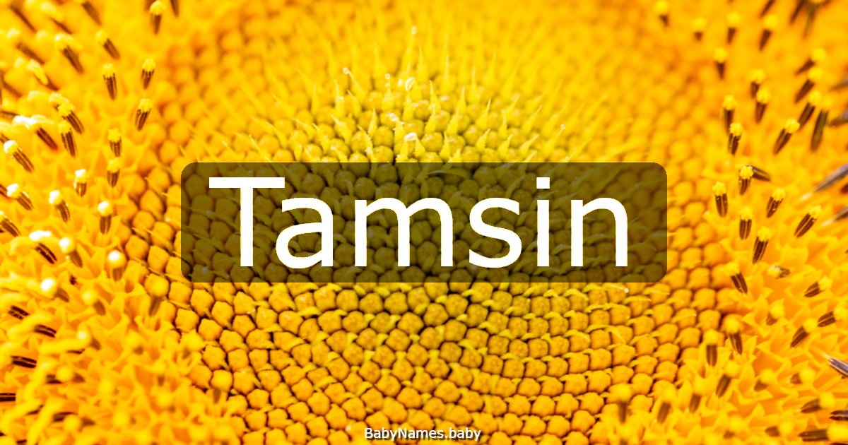 Tamsin