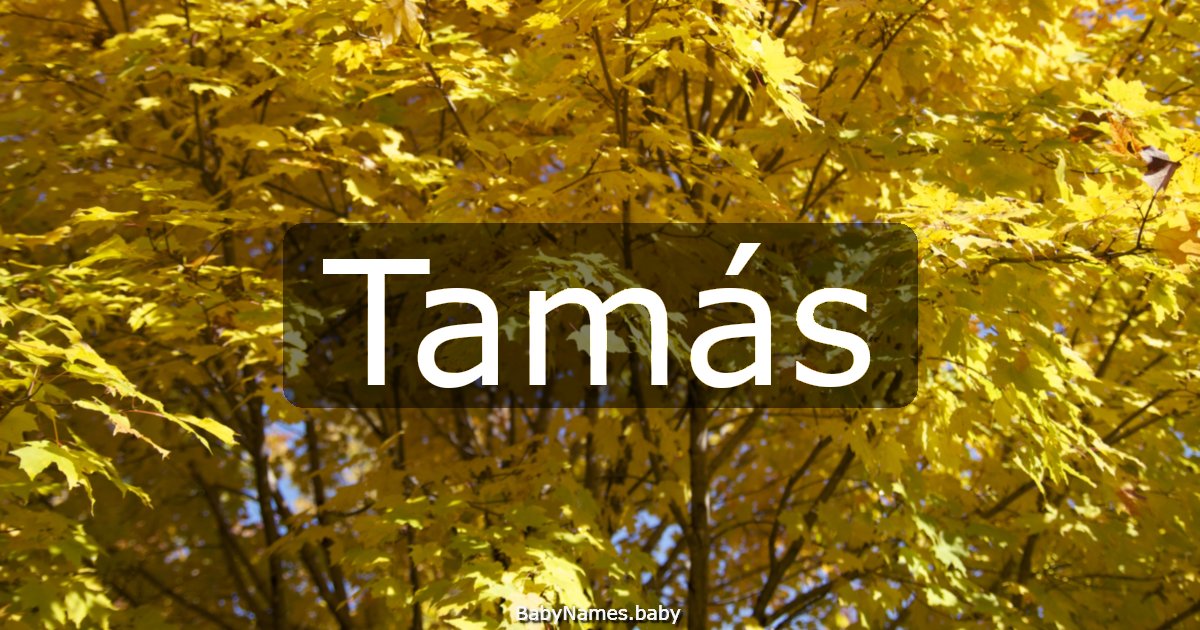 Tamás