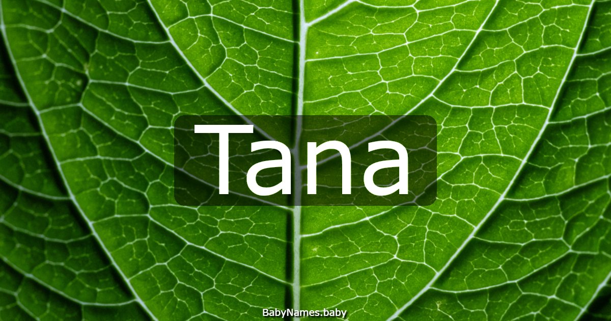 Tana