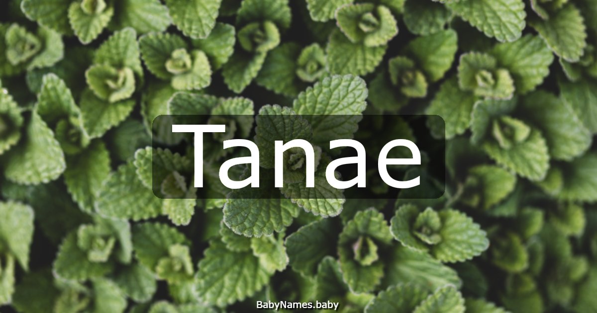 Tanae