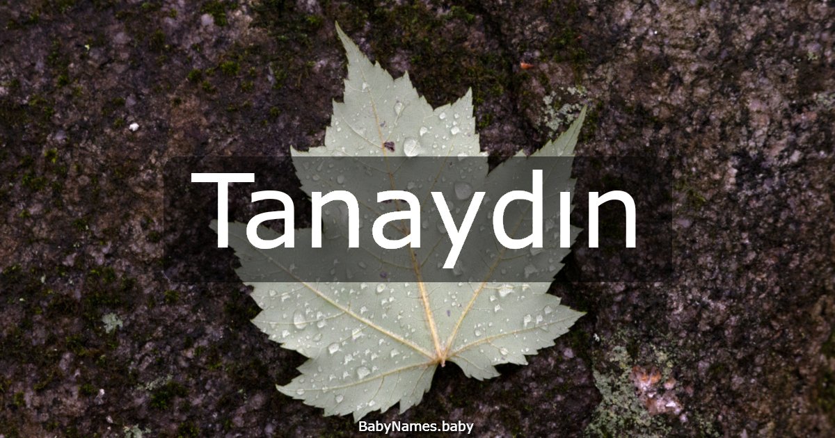Tanaydın