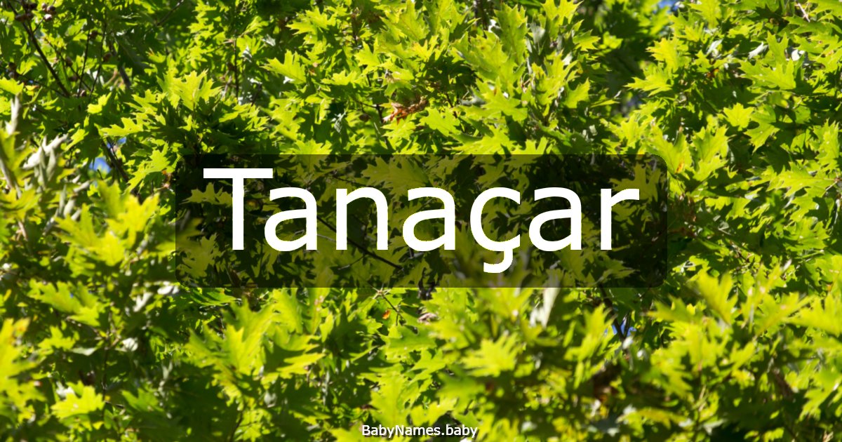 Tanaçar