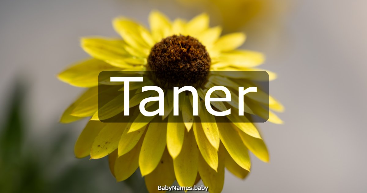 Taner