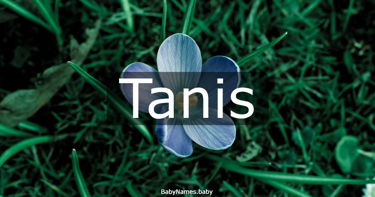 Tanis