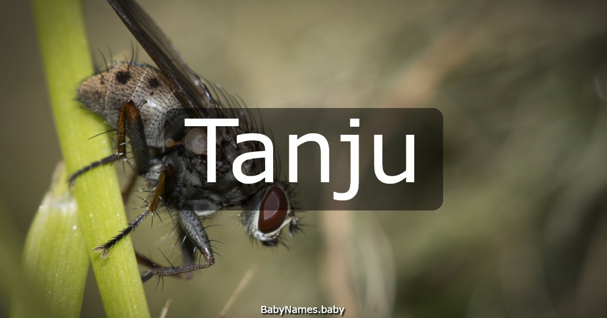 Tanju
