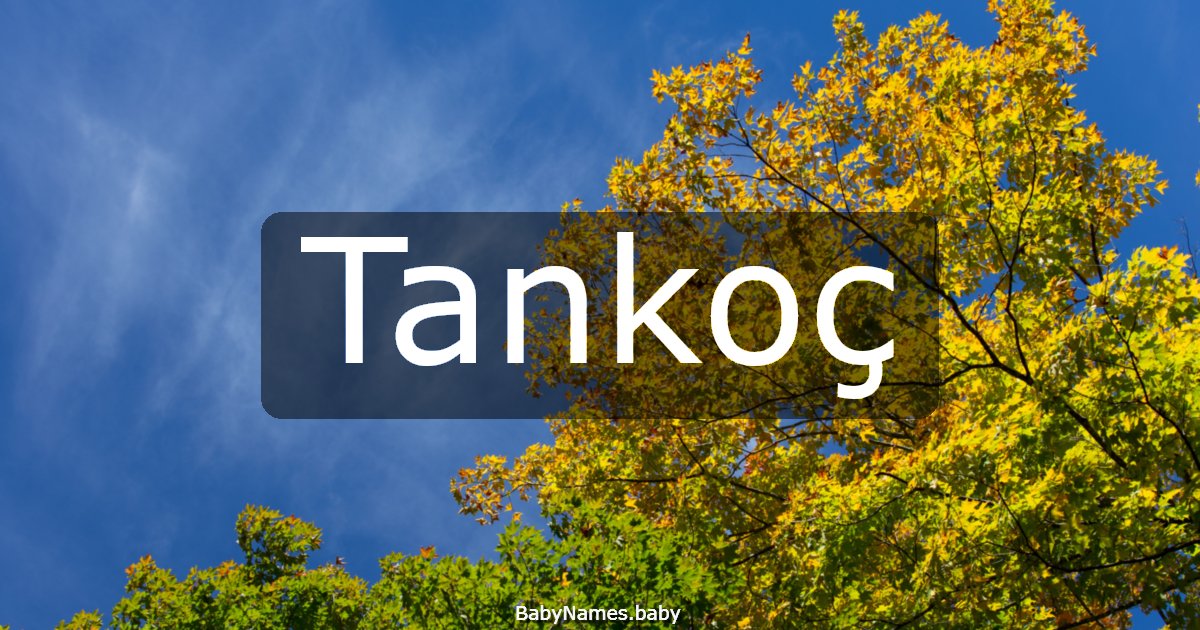 Tankoç