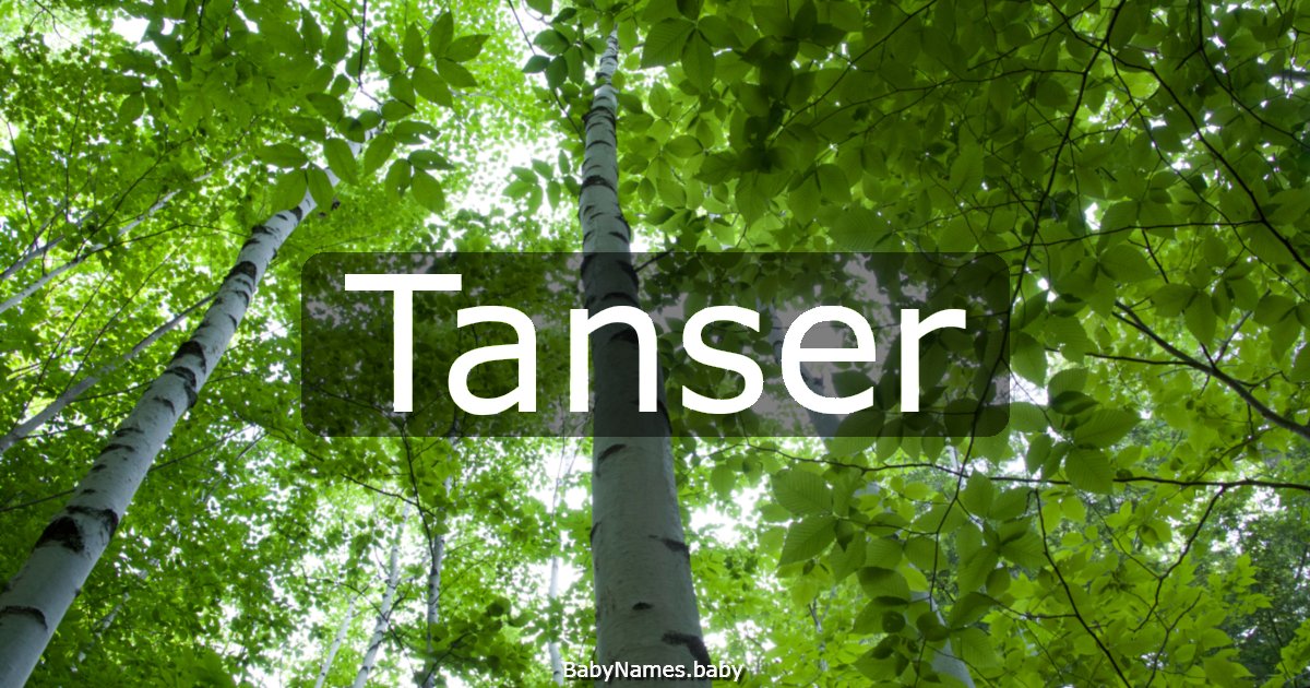Tanser