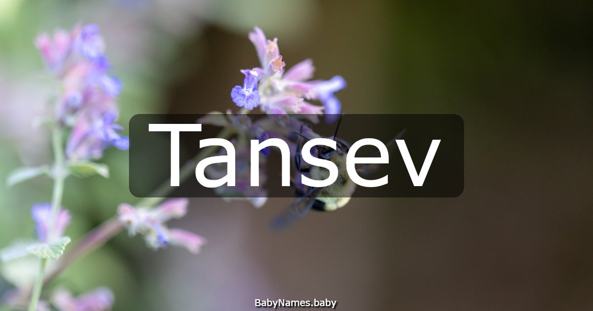 Tansev