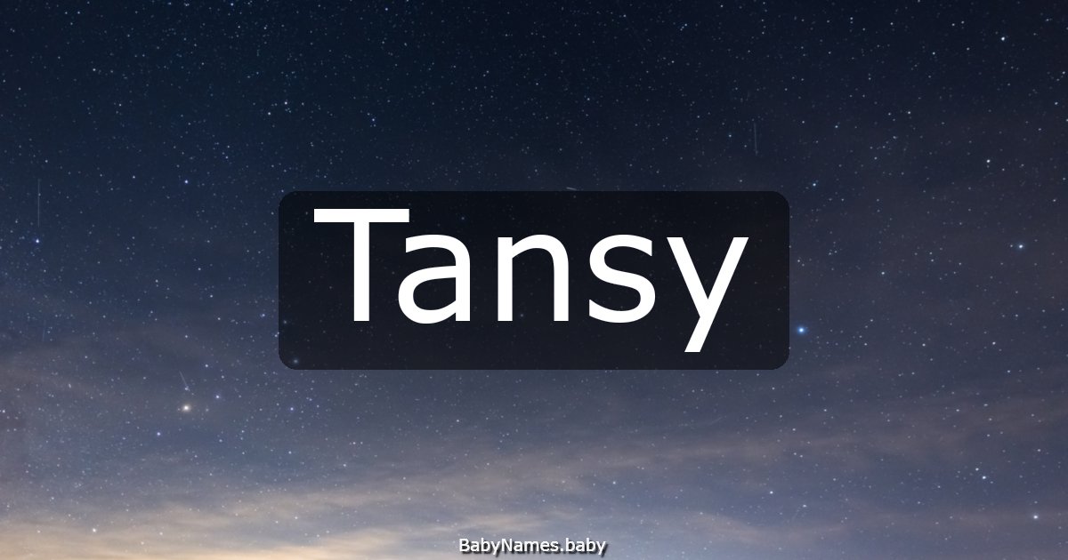 Tansy