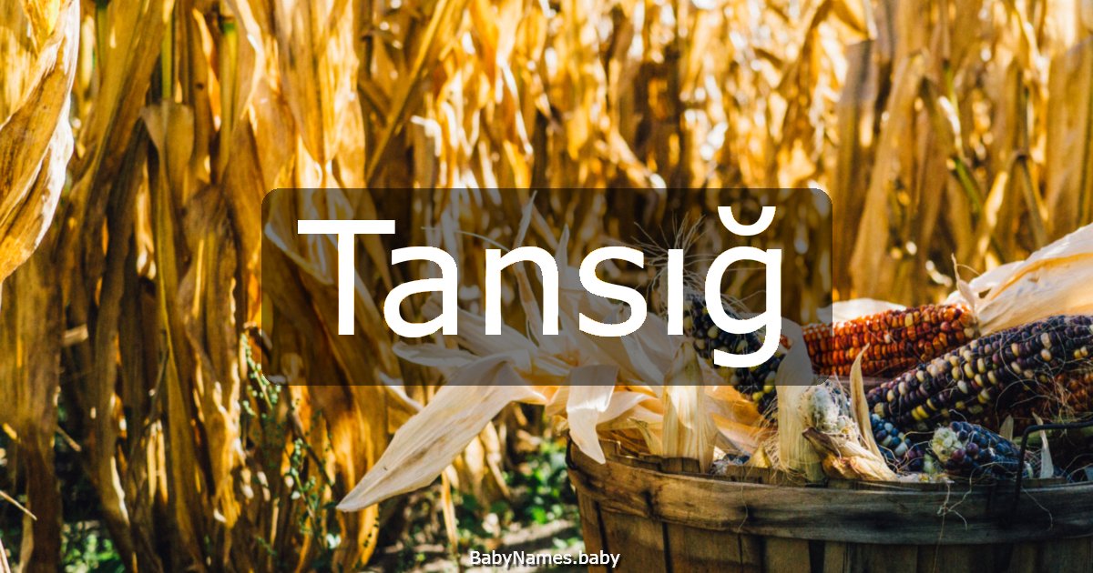 Tansığ