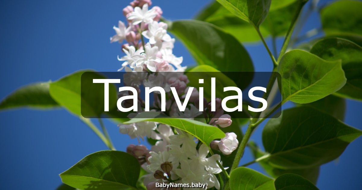 Tanvilas
