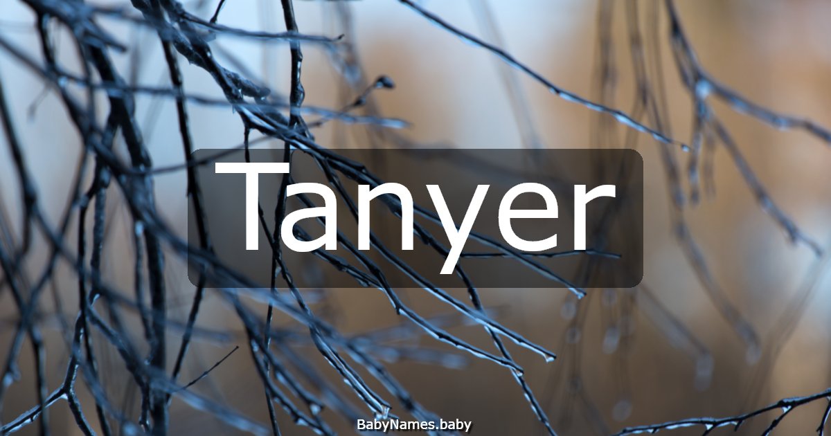 Tanyer
