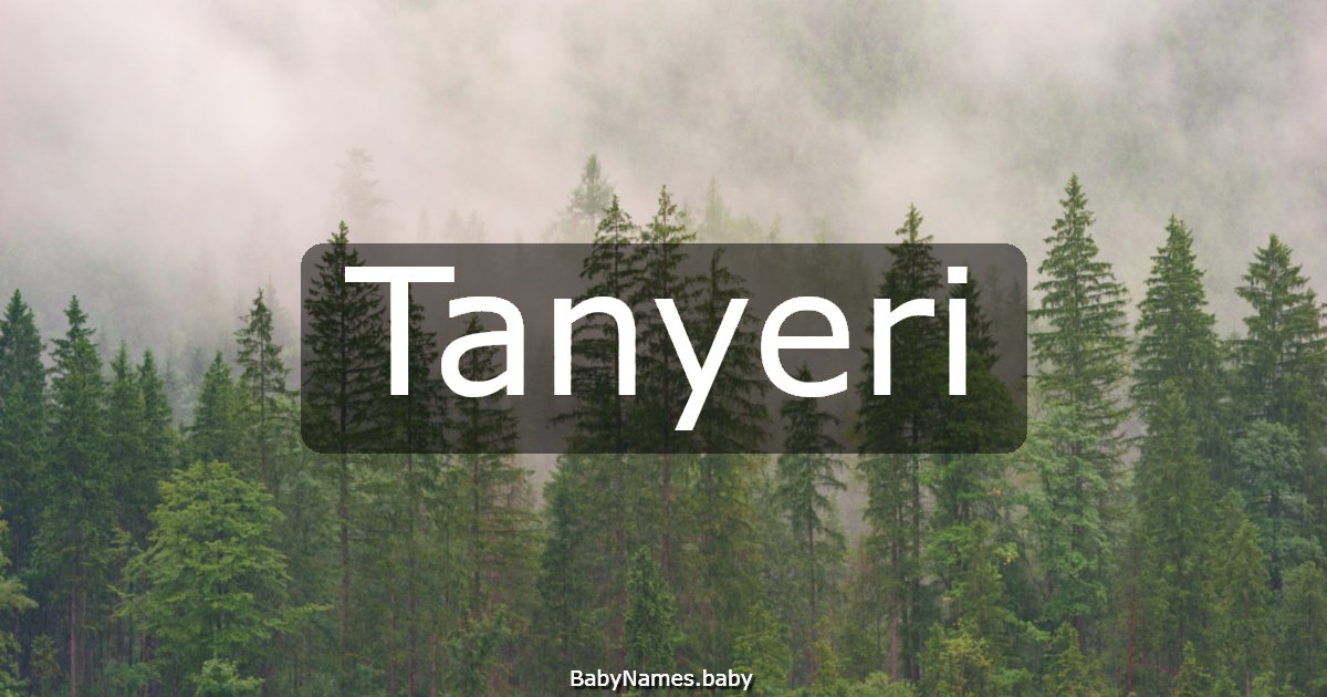 Tanyeri