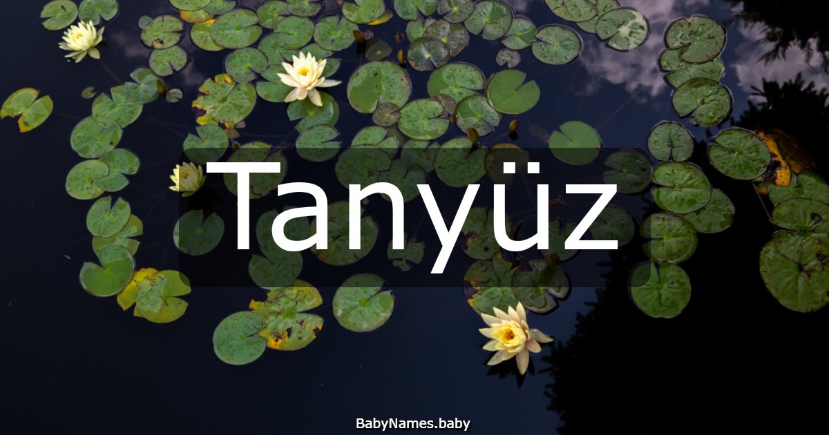 Tanyüz