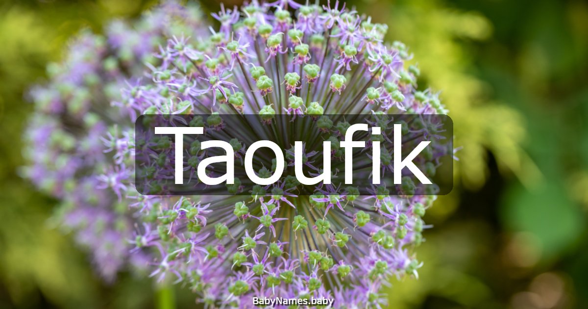 Taoufik