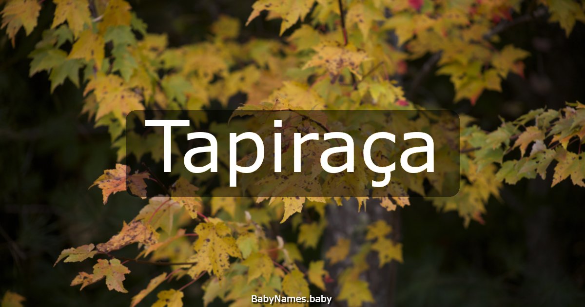 Tapiraça