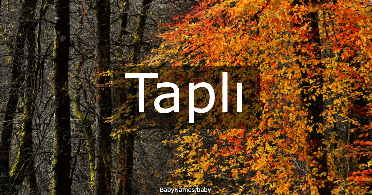 Taplı
