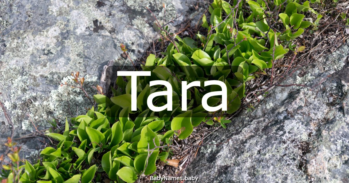 Tara