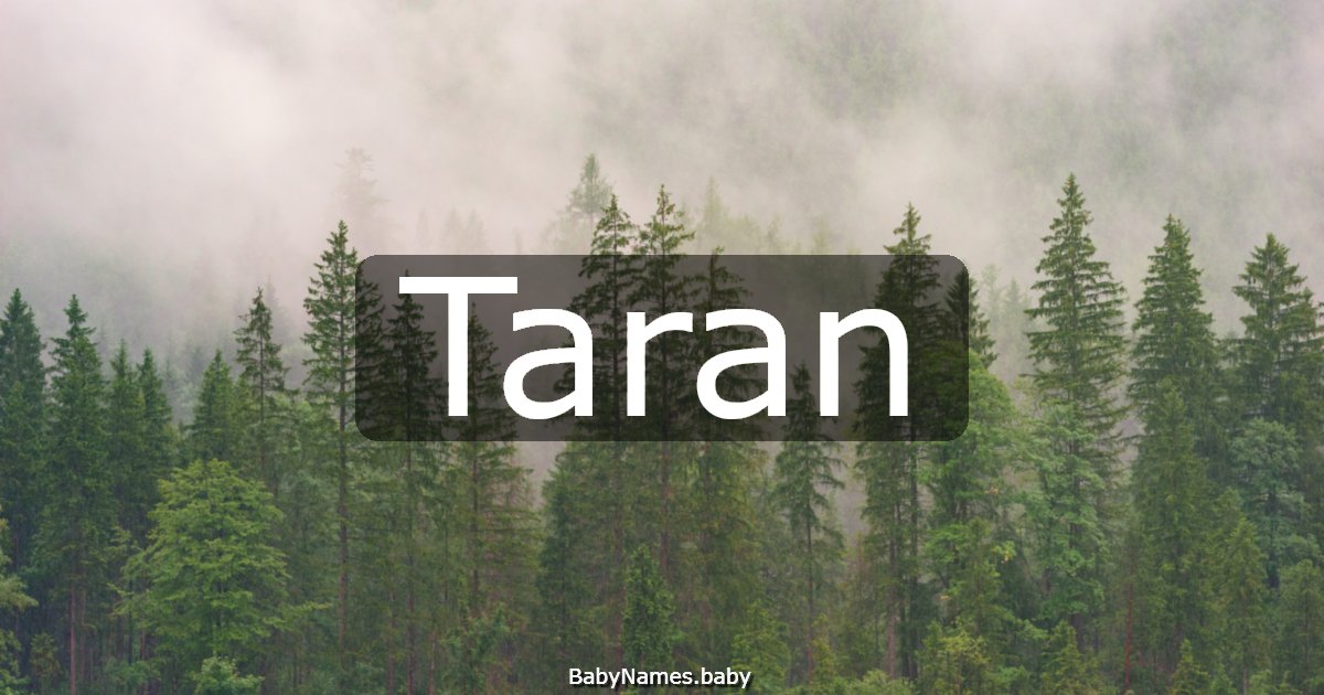 Taran