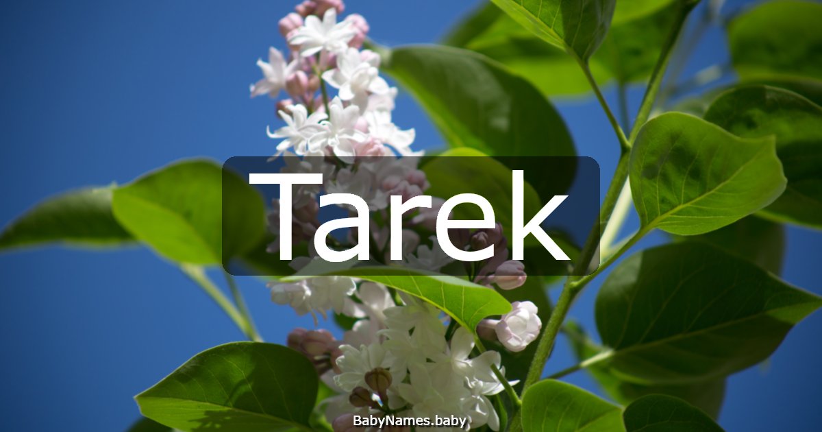 Tarek
