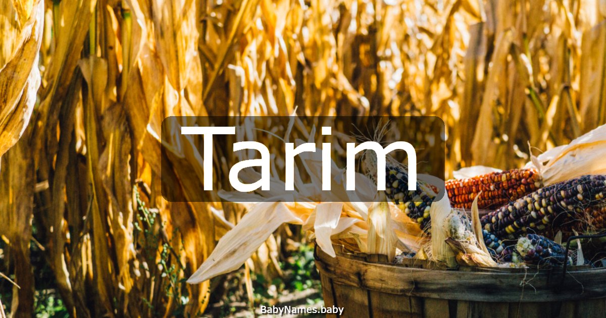 Tarim