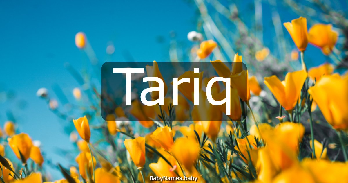 Tariq