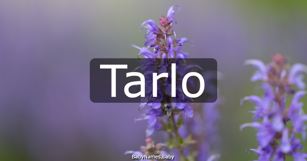 Tarlo