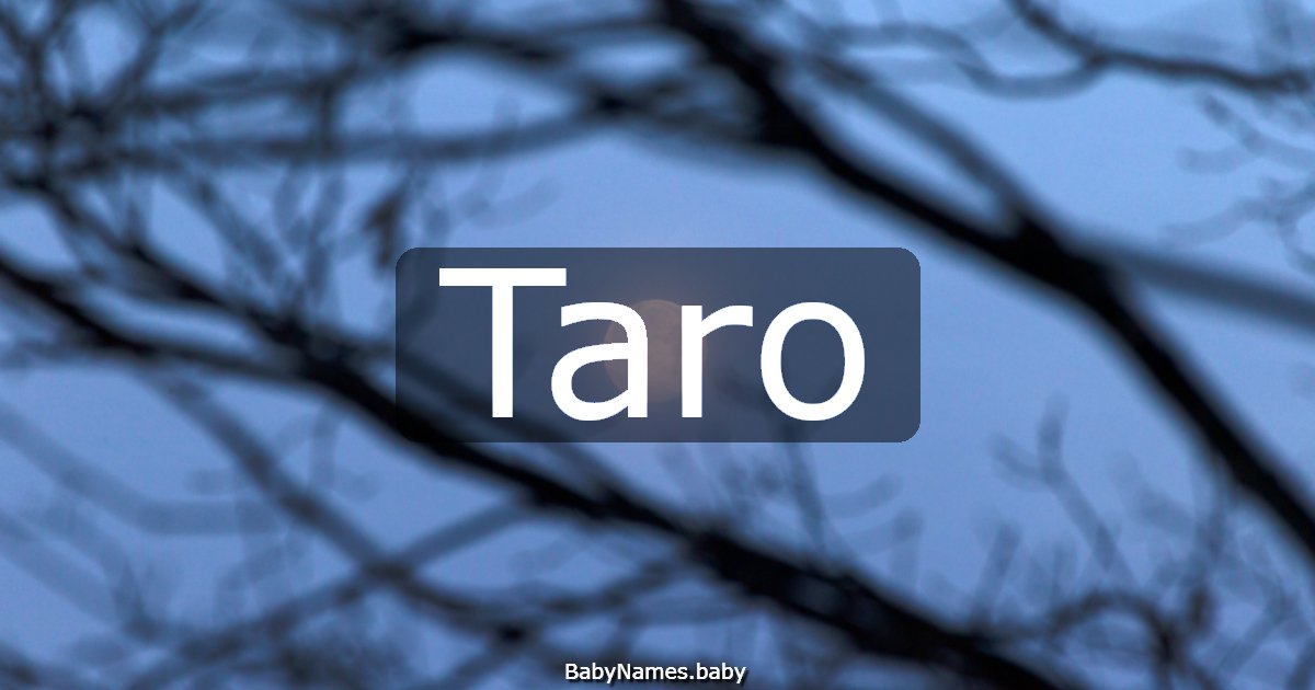 Taro
