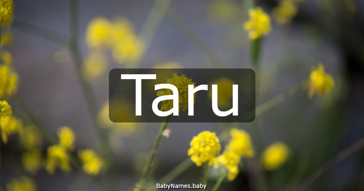 Taru