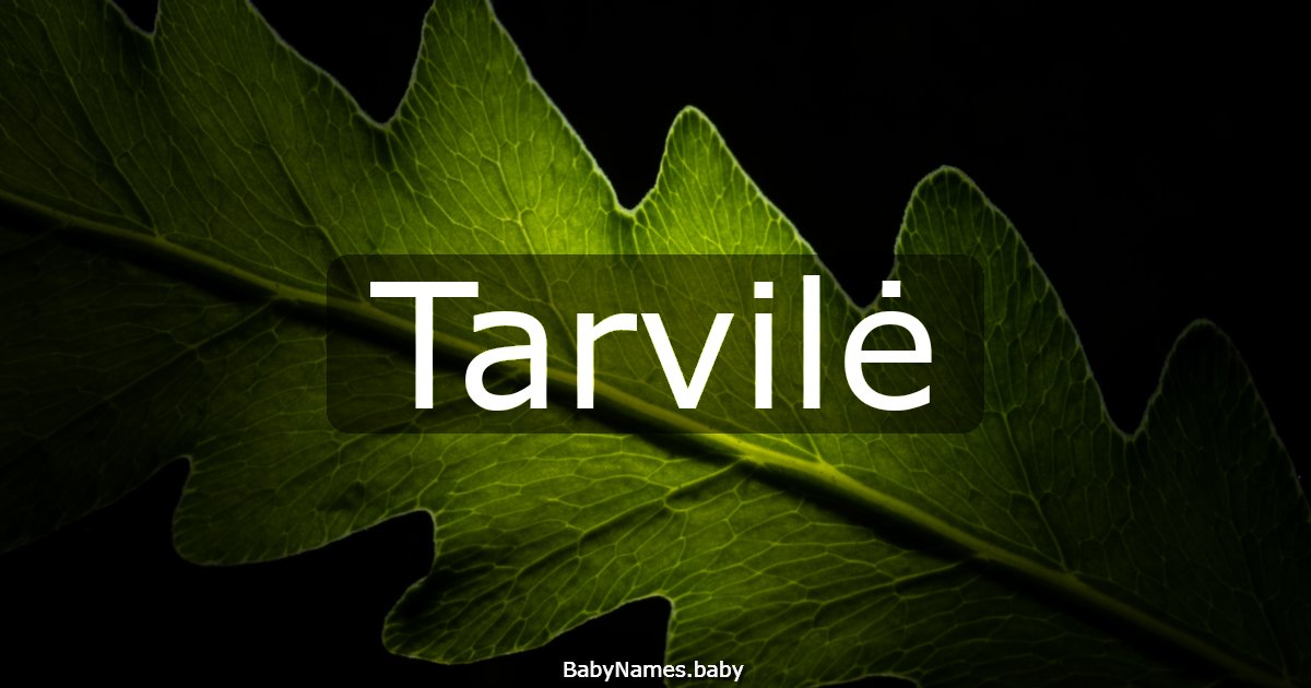 Tarvilė