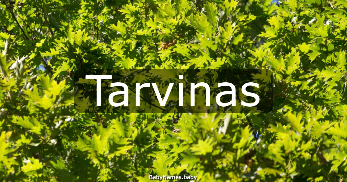 Tarvinas