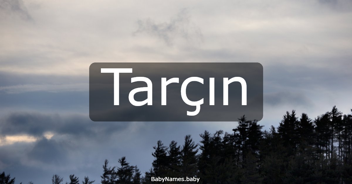 Tarçın