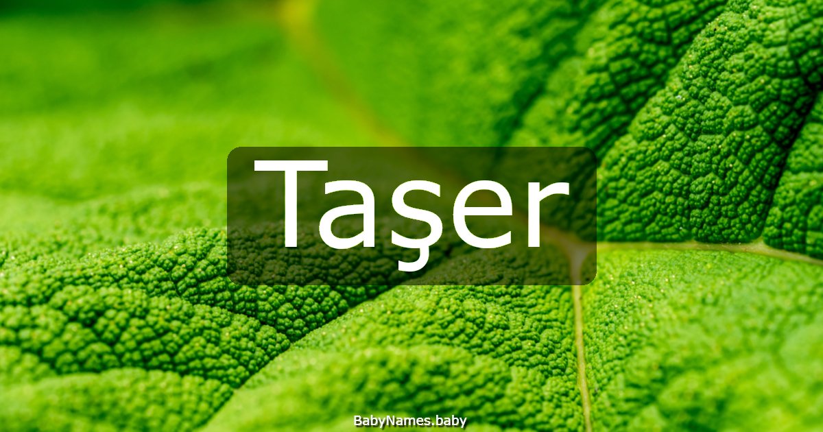 Taşer